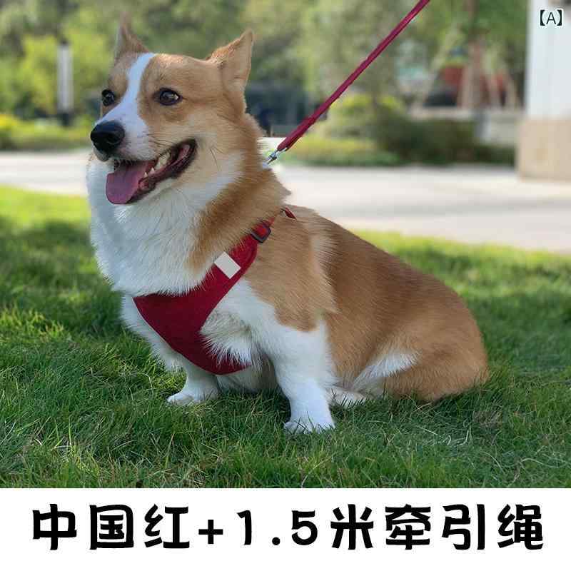 わんちゃん　ハーネス　かわいい ベスト型 犬用 リード 小型 散歩用 猫用 チェーン チェストハーネス ..