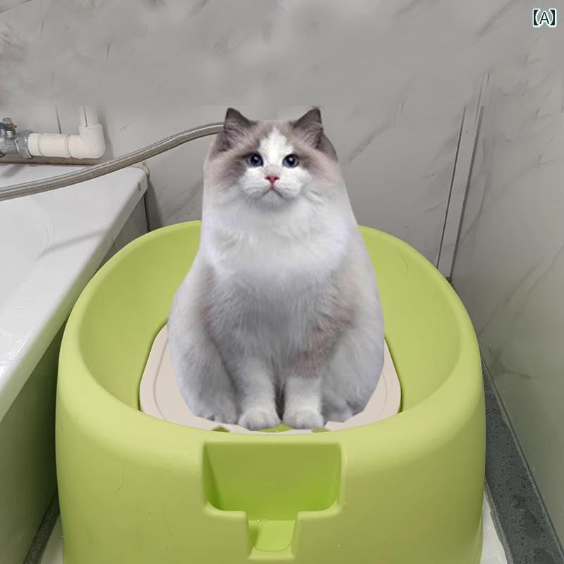 ǭ ȥ ܥå ư ͶƳ եå ǭ ȥ ܥå ֳ ڥå 
