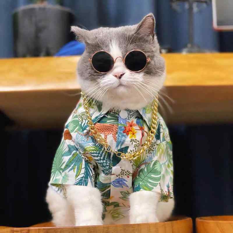 夏用 ペット服 猫用 小型犬用 薄手 花柄 シャツ テディ犬 ラグドール猫 アメリカンショートヘア ブルーホワイト 軽量 通気性 かわいい