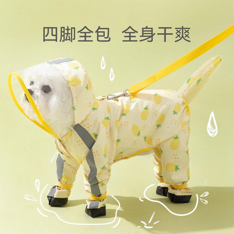 ���� �쥤�󥳡��� �ɿ� �͵ӥ��С� �澮���� ������ ���襤���� �꡼���б� ���� ���� ���� �ݸ� ���� �ڥåȥ��å�