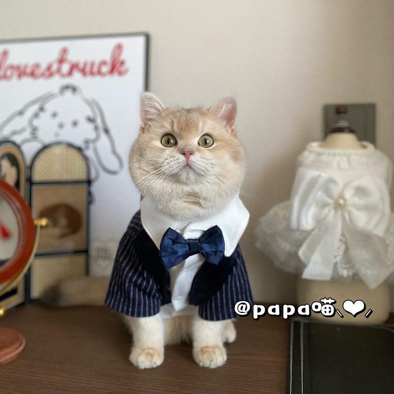 ペット服 犬猫用 西装 結婚式 礼服 薄手 かわいい かっこいい 伴郎風 2ピースセット 紳士スタイル フォーマルウェア 通年使用 軽量素材 ペットファッション