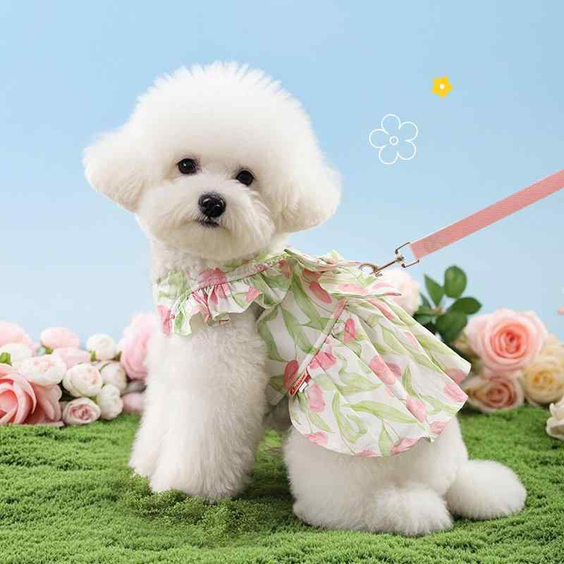 �ɥ쥹 �������� ǭ�� ���λ� �� �ץ�󥻥� ���� �������� ���� �̵��� �ۼ�®�� ���襤�� �ڥåȥե��å����