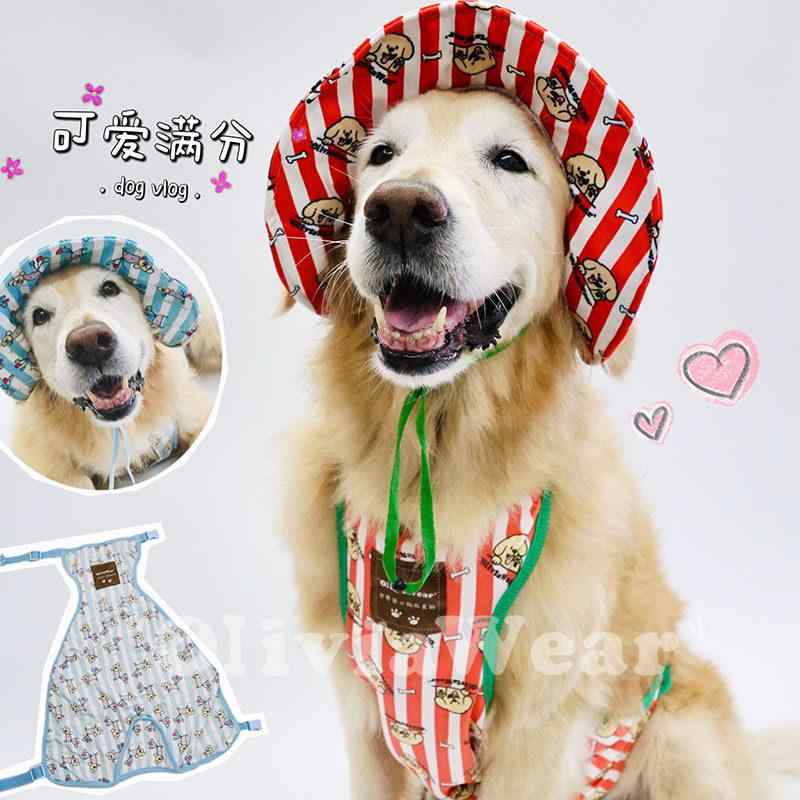 ペット 犬用 フィッシャーマンキャップ プリント柄 かわいい 綿 保温 防寒 腹巻き 冬用 アクセサリー