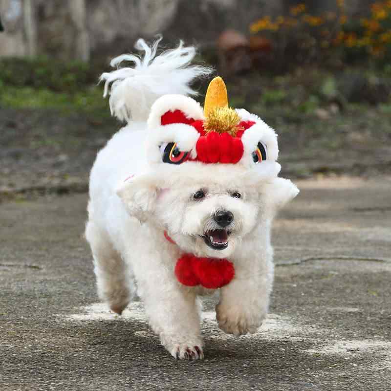帽子 ペット用 獅子頭 フード 新年 祭り 保暖 暖か かわいい キュート 装扮 コスプレ 猫 犬 喜慶 華やか 写真 撮影 グッズ パーティー