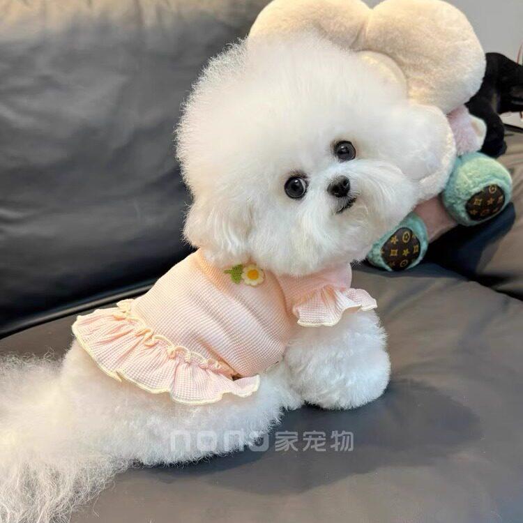 �ڥå��� �ղ� ��åե��� ������ �ե쥢���꡼�� �������� ǭ�� �ƥǥ��٥����� �ӥ������ �̵��� ���襤�� ���� �ۼ�®��