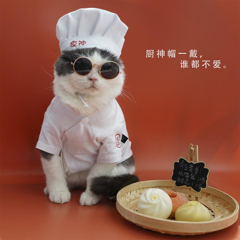ペット服 中小型犬用 変身コスチューム 春秋 薄手 毛抜け防止 テディ ビション コーギー かわいい ユーモア 軽量 伸縮性 通年対応