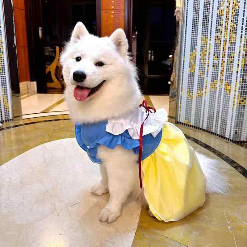 �ڥåȥɥ쥹 �ղ� ���緿���� �ץ�󥻥� ��ܥ� ���塼�륹������ ȴ�����ɻ� �̵��� ���� ���襤�� �����꡼ �������� ��ǭ��