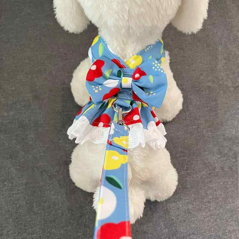 �ڥå��� ������ ǭ�� ���� �ϡ��ͥ� �꡼�� �դ� �ե�� �������� ���襤�� ���� ���ʻȤ� ���� ������