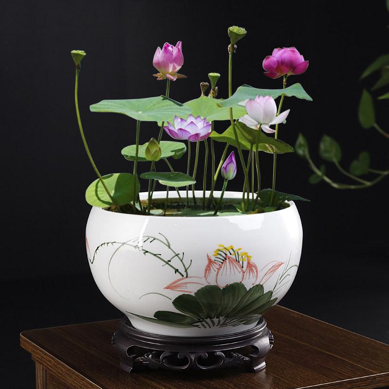 水耕え花盆 一葉蓮 専用 陶器 大径 無孔 家庭用 ベランダ シンプル インテリア 観葉植物 栽培 器 耐水 素材