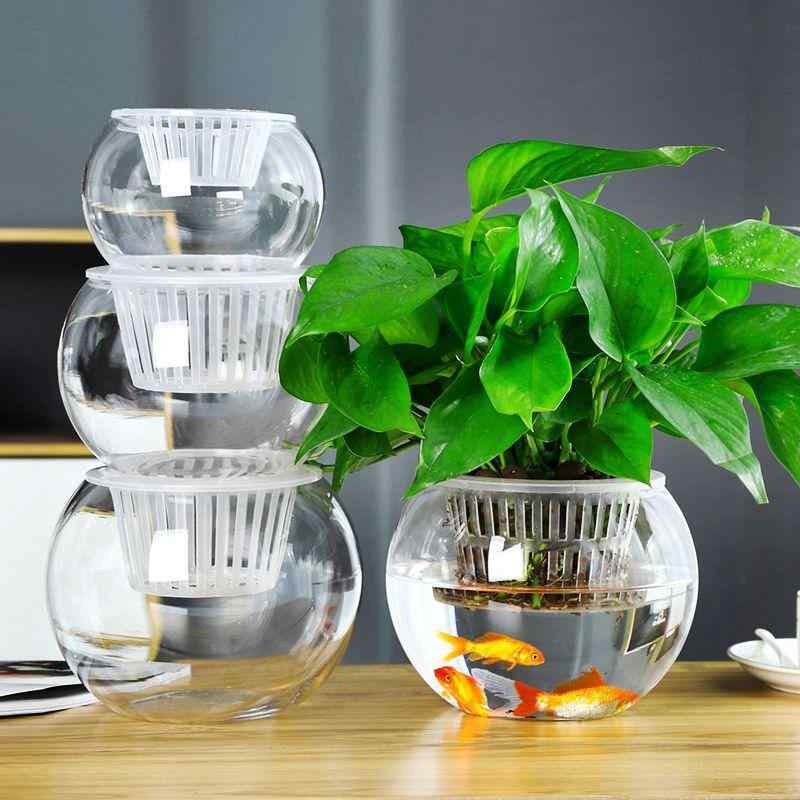 水耕植物 容器 ガラス 透明 花瓶 丸球形 厚手 ポトス 対応 室内 観葉植物 用 多機能 ボトル 形状 耐久性