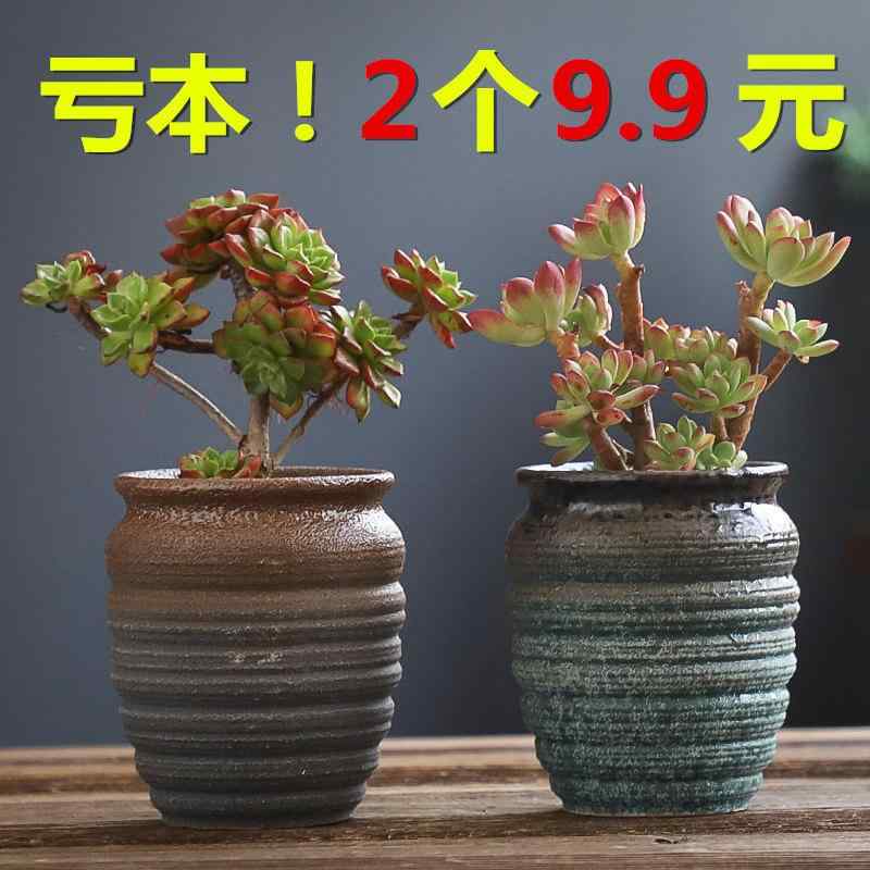 多肉植物鉢 陶器 粗陶 通気性 大型 口径広い レトロ 古株用 プランター 素朴 インテリア ガーデニング 排水良好 自然素材