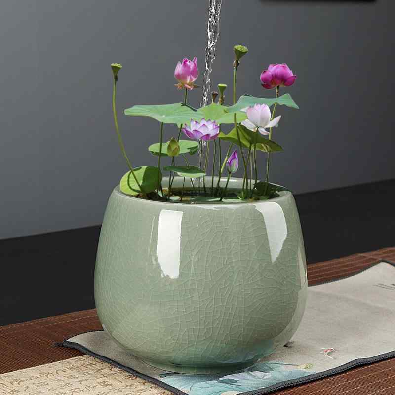 水耕花鉢 睡蓮用 陶器製 無孔型 家庭用 デスクトップ ベランダ インテリア 室内 屋外 置き型 水養器 シンプルデザイン