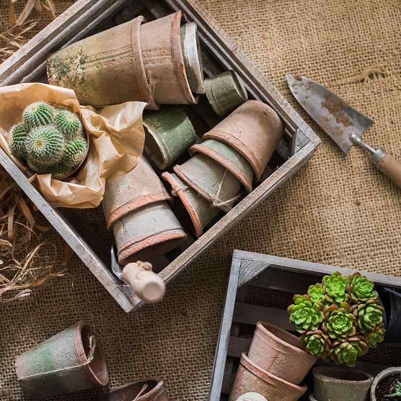 苔花盆 赤陶器 日式泥瓦風 自然育ちコケ 植栽鉢 庭園雑貨 ガーデニング インテリア用 小型 陶器素材 ク..