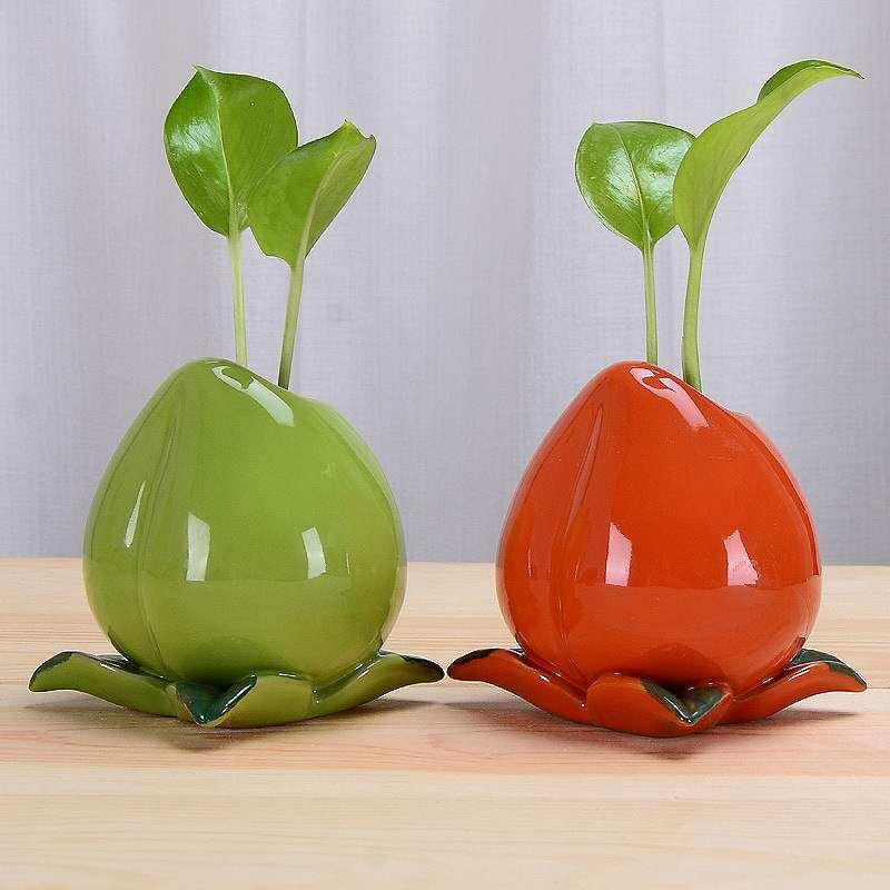 水耕栽培 花瓶 透明ガラス フラワーベース ポトス 観葉植物 水養器 室内 デスク テーブル インテリア モダン グリーン 植物 器