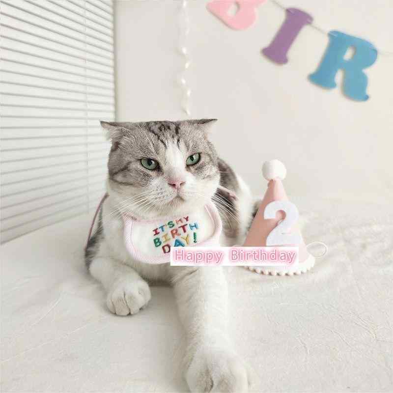 ペット 誕生日 パーティー 飾り グッズ 犬猫用 帽子 ビブ かわいい ネックカバー よだれカバー 装扮 セット 通年 対応 シンプル