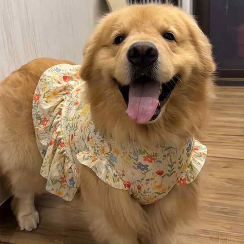 犬服 小型犬 中型犬用 夏 薄手 ワンピース ベストドレス UVカット 抜け毛防止 牽引対応 軽量 通気性 クール素材 サマースタイル ペットウェア・カラー展開: 赤.黄色.青.浅青.緑.ピンク・サイズ展開: XS(1kg以内.牽引フック付き).S(1.25-2.5kg.牽引フック付き).M(2.5-3.5kg.牽引フック付き).L(4-5.5kg.牽引フック付き).XL(5.5-7kg.牽引フック付き).2XL(7.5-9kg.牽引フック付き).3XL(9.5-11.5kg.牽引フックなし).4XL(12-15kg.牽引フックなし).5XL(15.5-20kg.牽引フックなし).6XL(20.5-25kg.牽引フックなし).7XL(25-34kg.牽引フックなし).8XL(34.5-42.5kg.牽引フックなし).9XL(42.5-65kg.牽引フックなし)