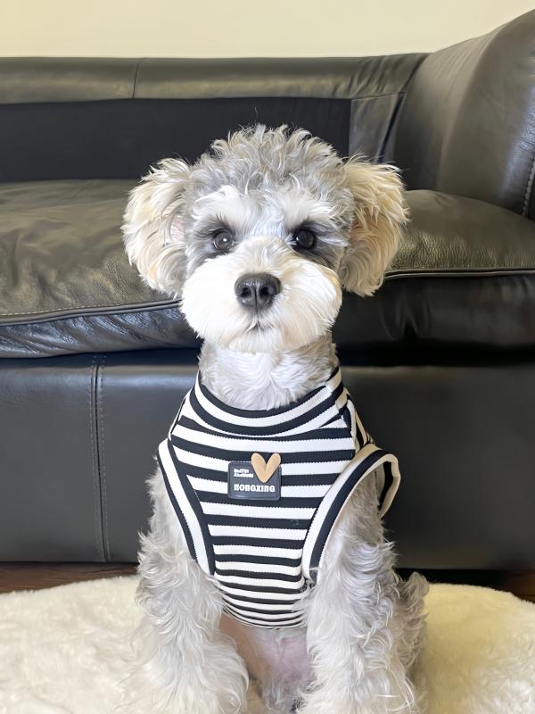 ペット服 犬猫用 夏 黒白ストライプ 無袖ベスト 室内着 防脱毛 中小型犬 シュナウザー 柴犬 かわいい 軽量 通気性 吸湿速乾