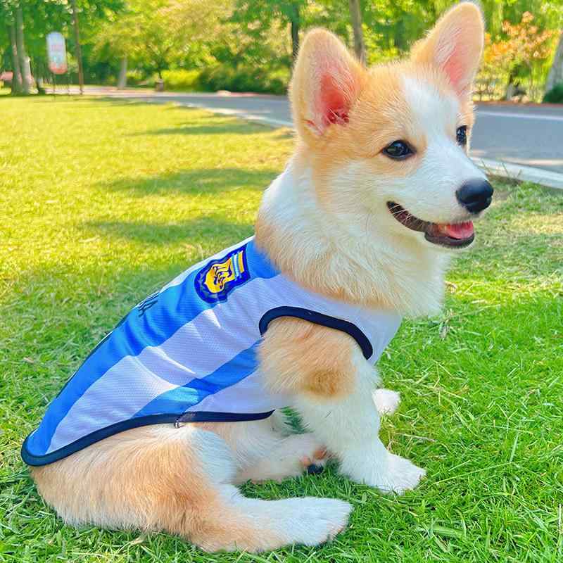 犬服 夏用 コーギー 柴犬 対応 中小型犬 通気性 薄手 毛抜け防止 ベスト ペットウェア 軽量 吸湿速乾 散歩用 室内着