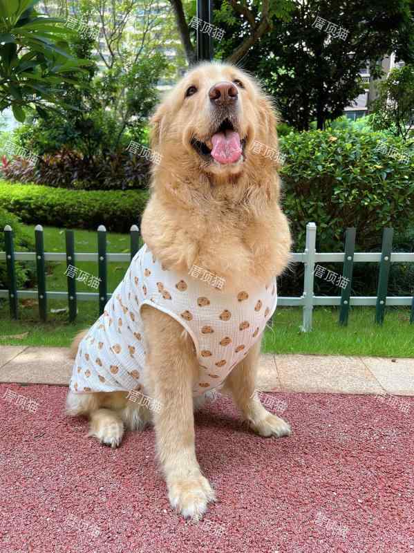 大型犬用 夏 通気 綿 ガーゼ ベスト ゴールデンレトリバー ラブラドール レトリバー ペット服 防毛抜け コットン素材 吸湿 速乾 軽量 普段使い