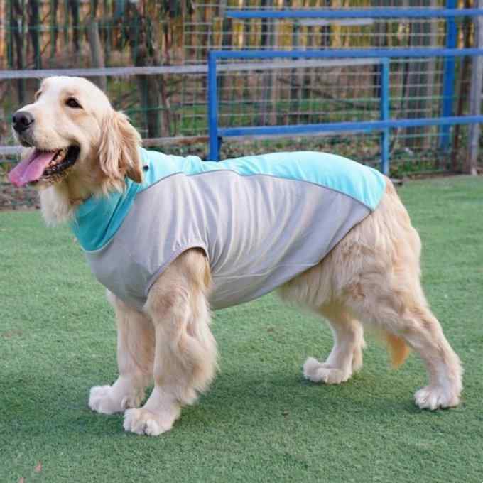春夏 大型犬用 接触冷感 クーリング ベスト ゴールデンレトリバー アラスカンマラミュート ラブラドールレトリバー ペット服 冷却 アイス　 素材 吸湿速乾 軽量 散歩 アウトドア