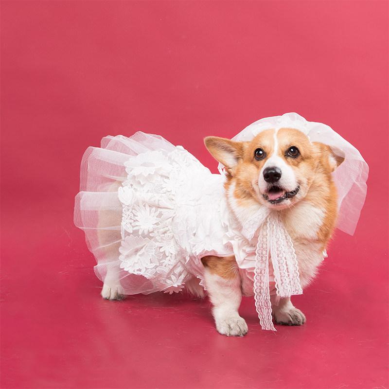 ペット用ドレス 犬用ウェディングドレス プリンセススカート 結婚写真撮影用 かわいいふわふわスカート チュチュスタイル フォーマルウェア かわいいペット服 撮影用衣装