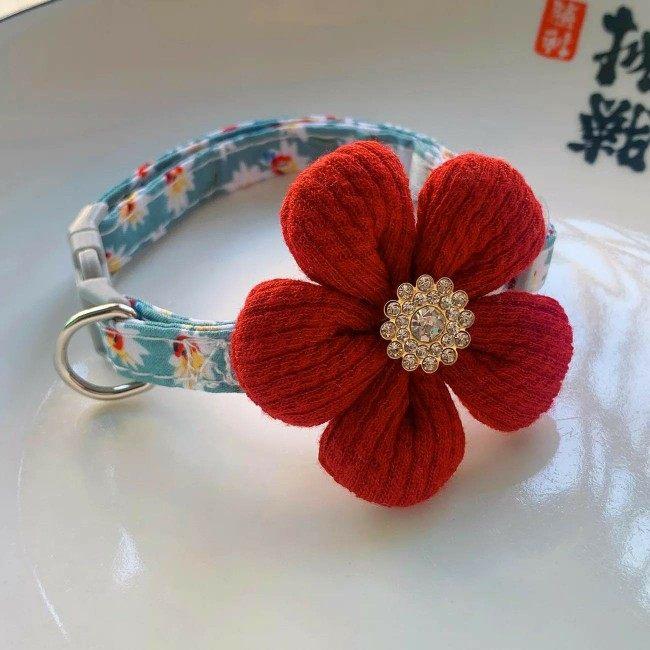 ��ǭ�� �ץ�󥻥��� ���� �˥å� �Ԥ߹��� �饤�󥹥ȡ��� ���饭�� ���襤�� �����꡼ �ڥåȼ��� ������� �꡼�� ���������꡼