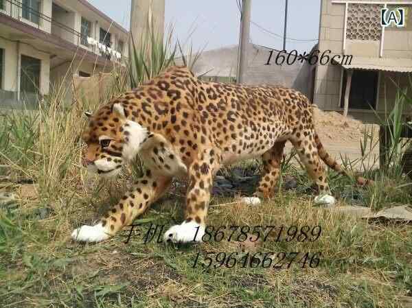 動物フィギュア キッズ ヒョウ リアル 模型 乗馬 玩具 撮影 小道具 動物園 デコレーション 家庭用 インテリア 飾り フォトプロップス 子供用 おもちゃ 遊び道具