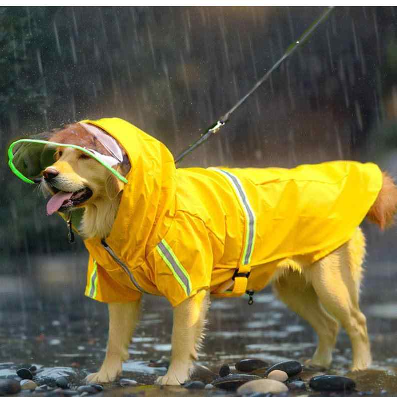 犬用 雨コート 中型犬 防水 フルカバー 腹部保護 レインウェア ペット用品 散歩用 雨具 軽量 撥水加工