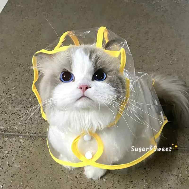 ペット レインコート 小型犬 猫用 透明 フード付き 防水 かわいい シンプル 散歩用 アウトドア 軽量 ファッション 服