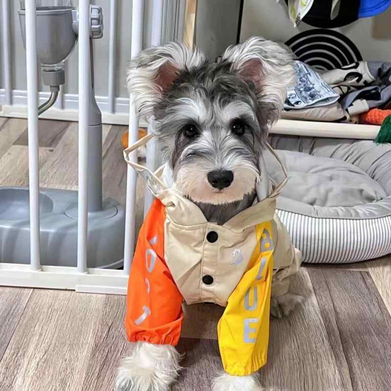 小型犬用 シュナウザー専用 防水レインコート 四脚カバー 全身包み クール ペット雨具 アウトドアジャケット 軽量素材 伸縮性 速乾 かっこいいスタイル