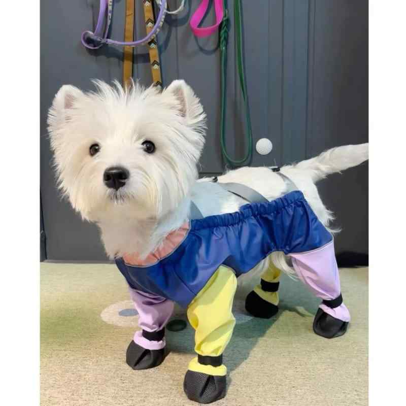 犬服 小型犬 中型犬 外出用 防汚 防尿 連体パンツ 脚カバー 靴カバー ペットウェア 散歩グッズ 防水加工 伸縮素材 軽量タイプ