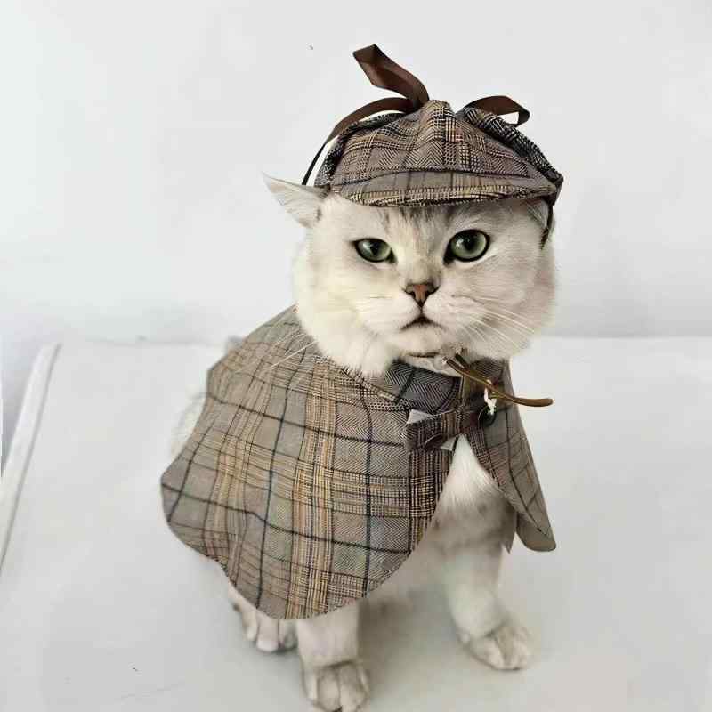 ペット用 ハロウィン コスプレ マント 帽子 セット 犬猫対応 ユーモア 仮装 衣装 秋 パーティー グッズ かわいい スタイル
