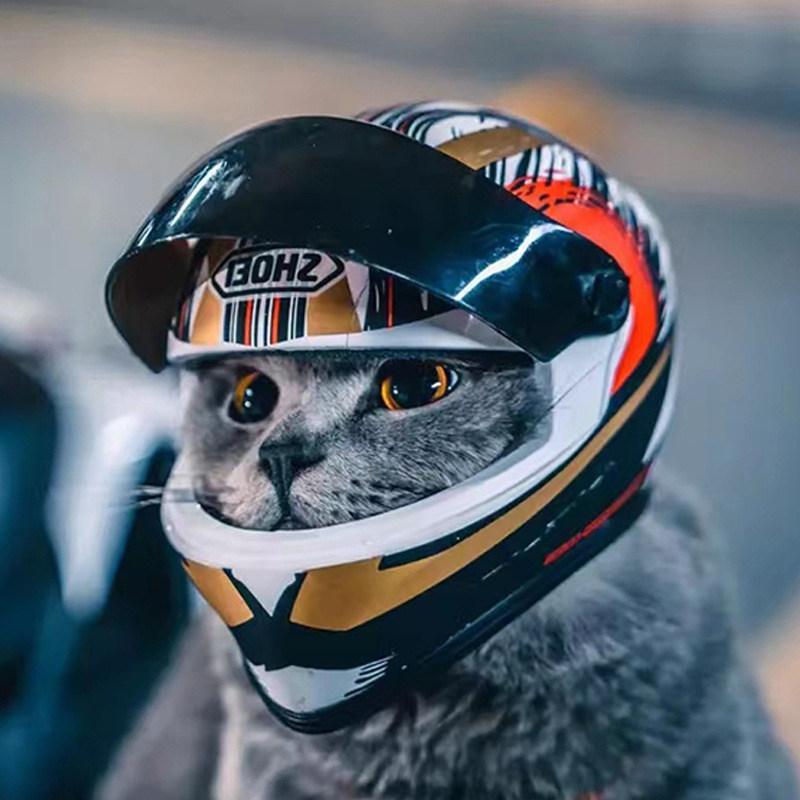 バイクヘルメット ペット用 猫用 小猫 ぬいぐるみ付き 頭飾り テディベア モチーフ かわいい 安全 軽量 通勤 散歩 アクセサリー