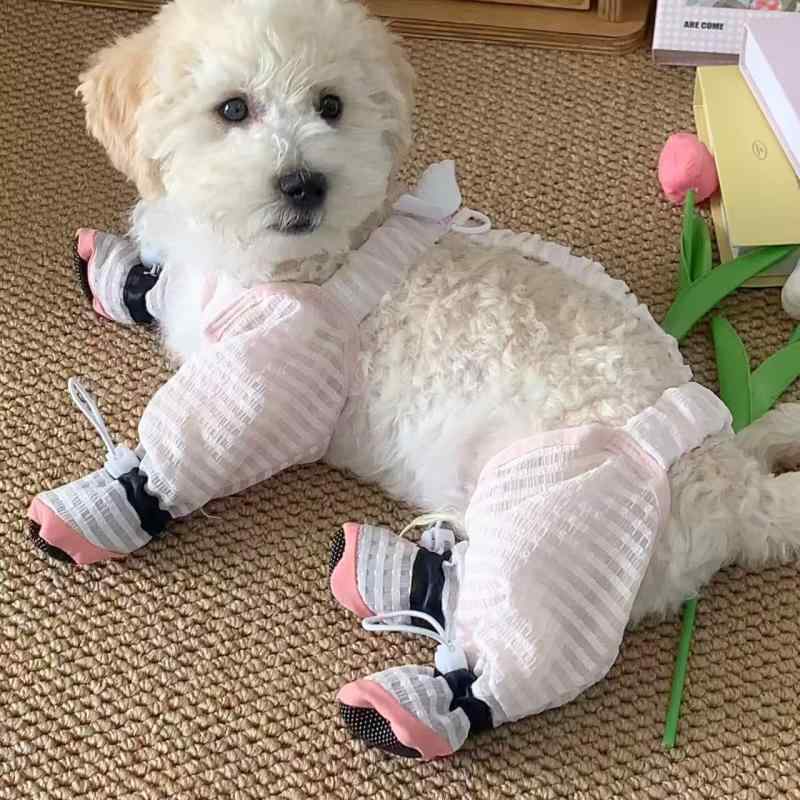 ���� ��å����С� ������ �淿�� �ƥǥ��� ������ �����ɻ� Ǣ�ɻ� Ϣ�Υѥ�� �͵ӥ��塼���С� �ڥåȥץ��ƥ����� ������ ������ �ɿ�ù�