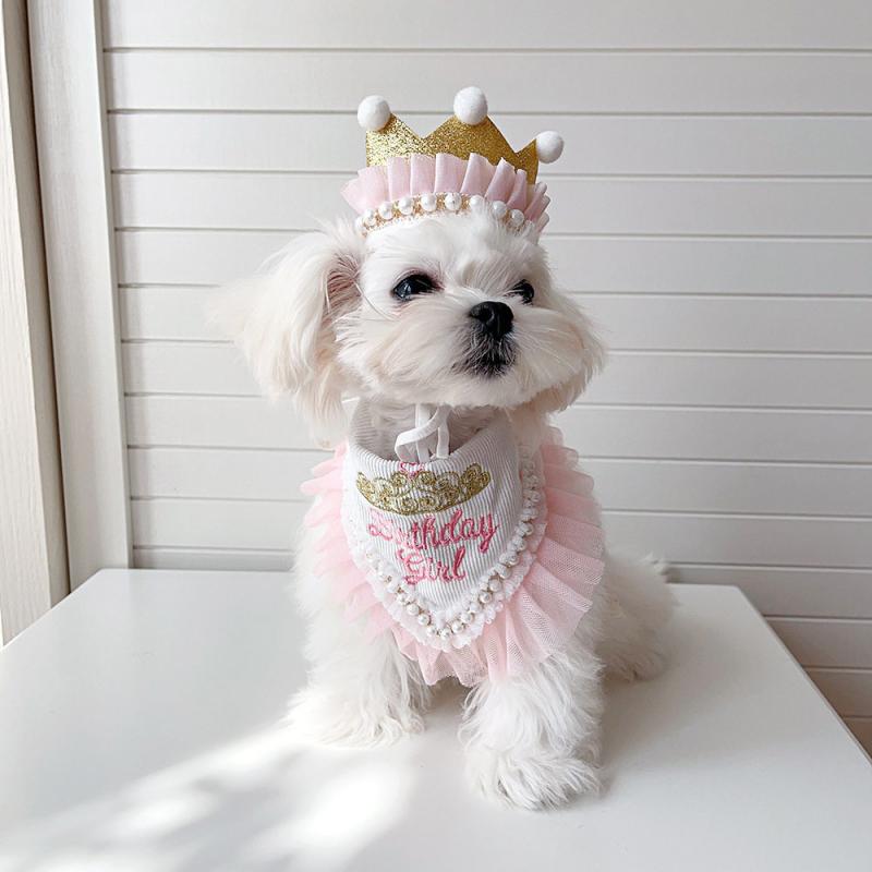 �ڥå� ��ǭ�� ������ �ѡ��ƥ��� ����줫�� ���Ѷ� �ɽ� ���� �졼�� ���å� ���襤�� ���������꡼ �ӥ� �إåɥɥ쥹 �ڥåȥ��å� ����Ȥ� ������