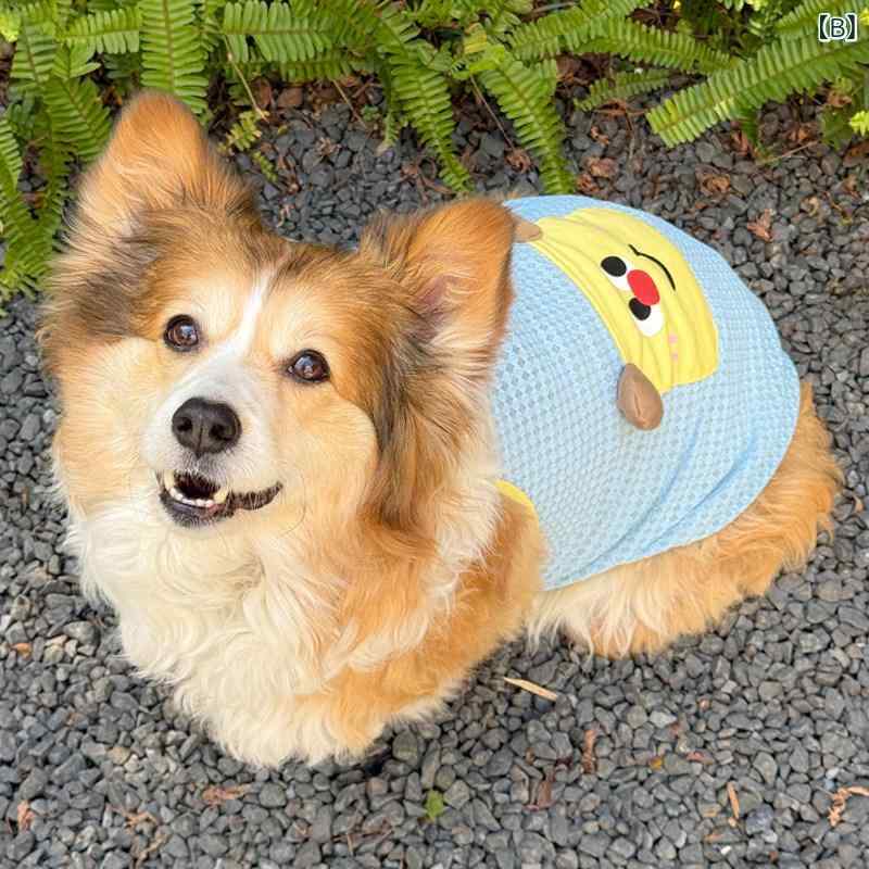 犬用ベスト コーギー犬 子犬用 夏用 薄手 タンクトップ 汚れ防止 抜け毛防止 小型犬服 軽量 吸湿速乾 通気性 室内用 アウトドア