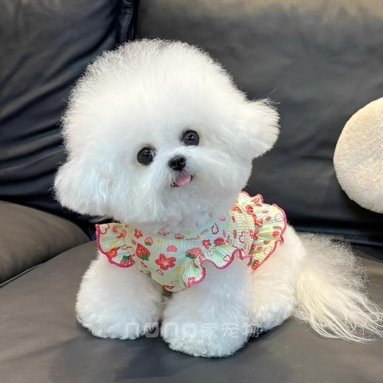 ������ ǭ�� �ղ� UV���å� ������ ��åե�����å� �������� �ե��µ �������� �ƥǥ� �ӥ�����б� �̵��� ���� ���襤��