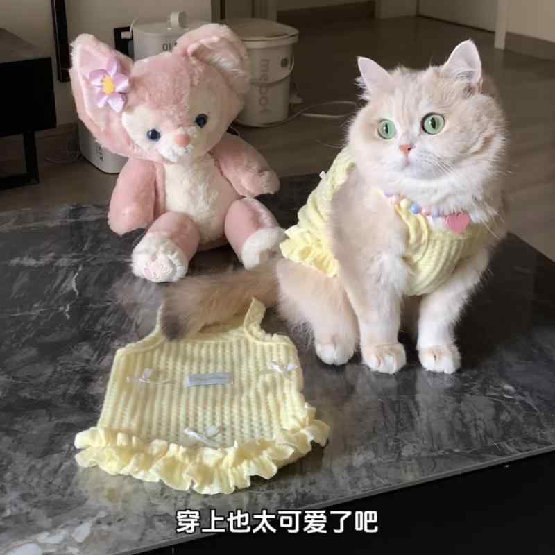 ペット服 犬猫用 脱毛防止 ワッフルメッシュ ベスト 春夏秋 通気性 軽量 かわいい マカロンカラー ゴールド グラデーション
