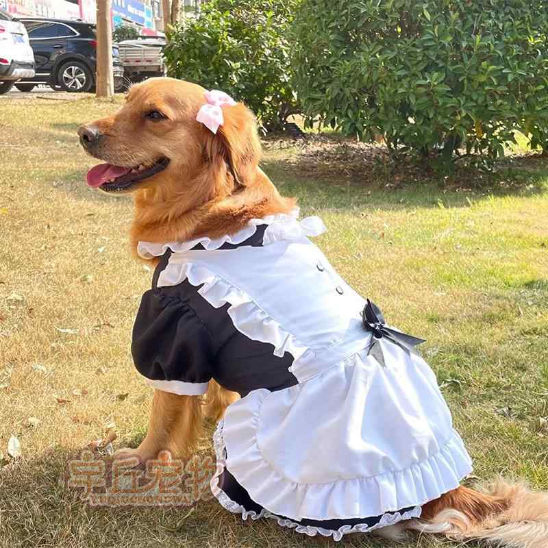 犬服 中型犬 大型犬用 メイド風 ウェディングドレス スカート エプロン付き かわいい 変身コスチューム ペット衣類 女の子向け ふわふわ素材 普段使い イベント用