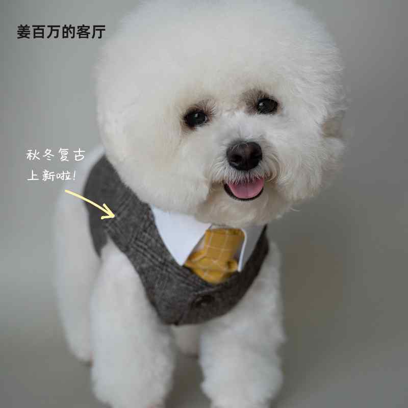 ペット服 秋冬 犬用 フォーマル スーツ セット ウェディング 結婚式用 パーティー用 コットン 暖かい 素材 ベスト レトロ ヴィンテージ スタイル スタイリッシュ 高級感 四足・主な素材: 綿・スタイル: スーツ・カラー展開: 黒.白.カーキ.黒灰・サイズ展開: XS.S.M.L.XL.XXL