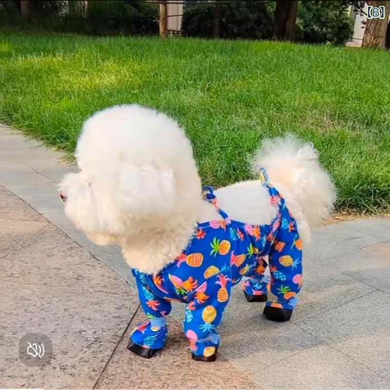 �������� ����Ϣ���� �ɿХ�å����С� ����Ϫ�Х��С� �ƥǥ� �ӥ�����б� �����륷���������� �ڥå��� ���⳰���� �������Ǻ� �����߷� ���襤��