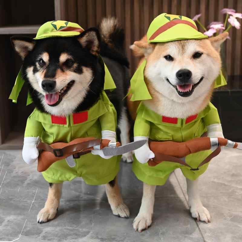 犬服 夏用 コスプレ 柴犬 テディ コーギー 中小型犬 ユーモラス 変身 おもしろ ペットファッション 通気性 軽量 遊び着 散歩用 かわいい