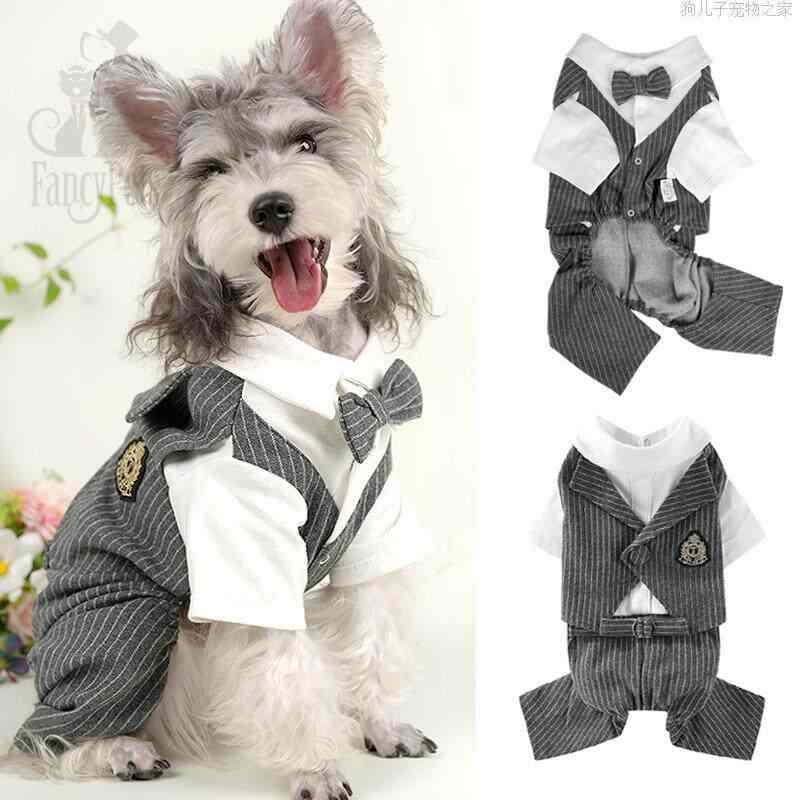 小型犬用 結婚式スーツ ペットフォーマルウェア テディ ビション ポメラニアン シュナウザー 四足服 パンツセット ドレスアップ セレモニー かわいい