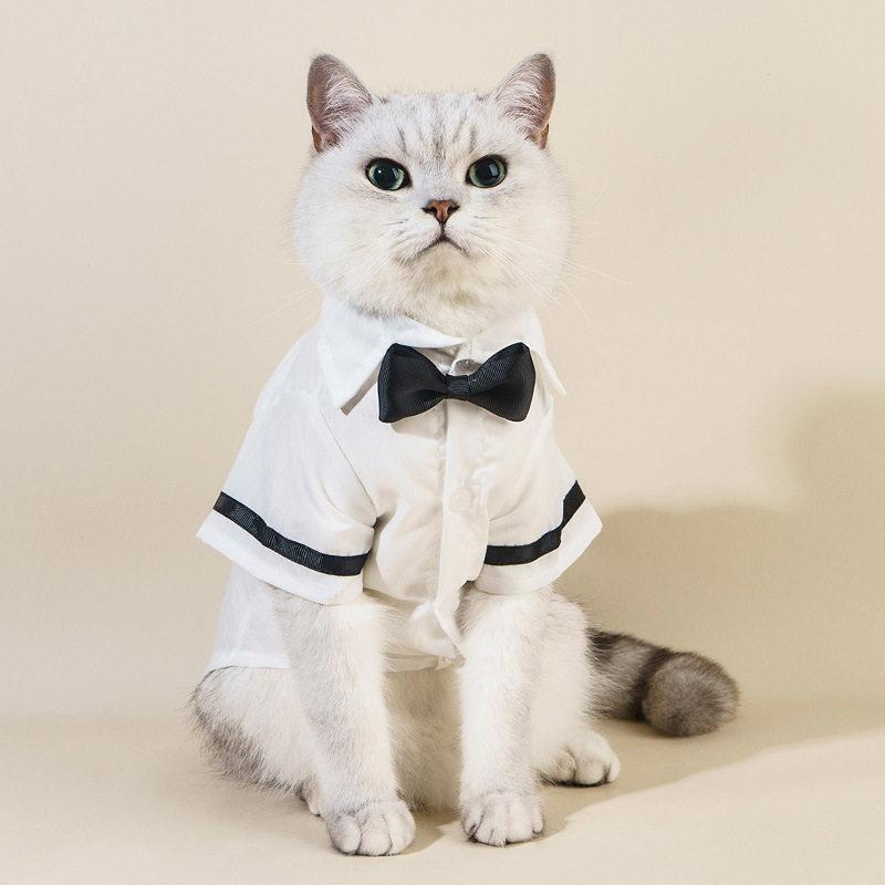 ペット服 猫用 犬用 シャツ 蝶ネクタイ セット テディ犬 シュナウザー スーツ 礼服 フォーマルウェア