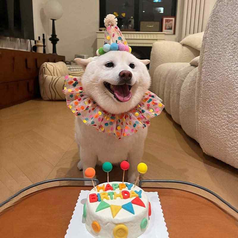 �ڥå� ������ ˹�� �ݥ륫�ɥå� �� ǭ�� �إåɥ��С� ���� �ӥ� �ǥ��졼����� Ƭ���� �̿� ���� �ץ��åץ� �ѡ��ƥ��� ���å� ���襤��