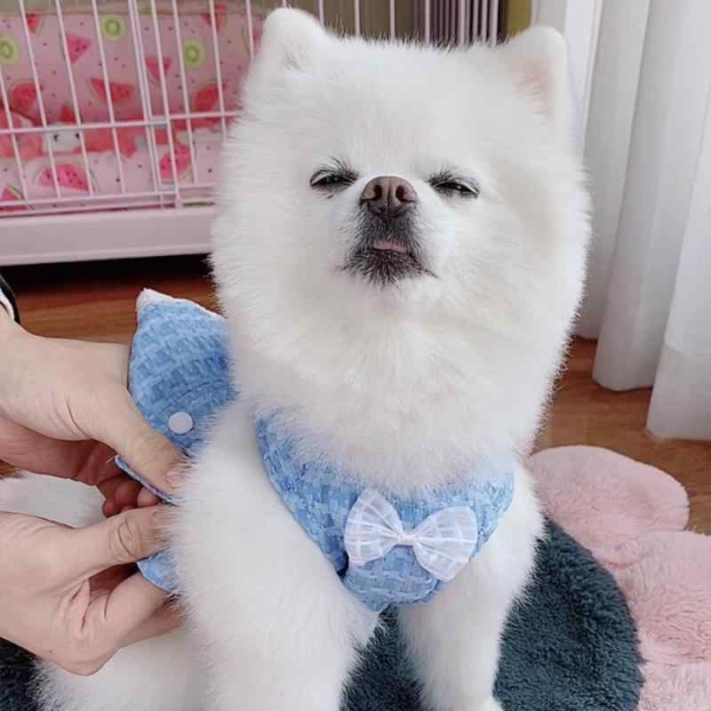 ペット用 プリンセスドレス 小型犬猫 ブルー 二重リボン 牽引フック かわいい 室内着 散歩用 軽量 伸縮性