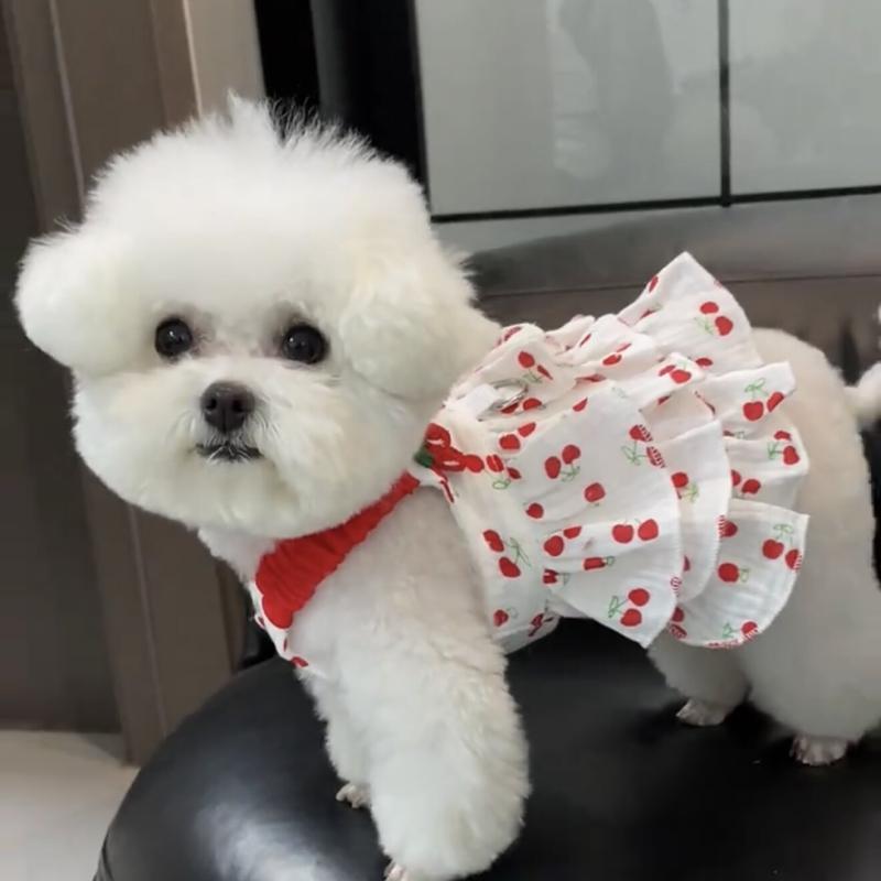 小型犬用 プリンセスドレス 夏用 薄手 通気性 かわいい ガーリー ペット服 軽量 吸湿速乾 室内外対応