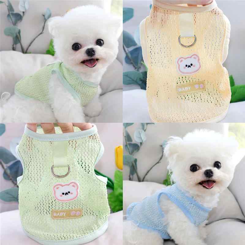 ������ǭ�� �ղ� �̵��� ���� �٥��� �꡼���б� æ���ɻ� �ڥåȥ����� ���� �ۼ�®�� ������