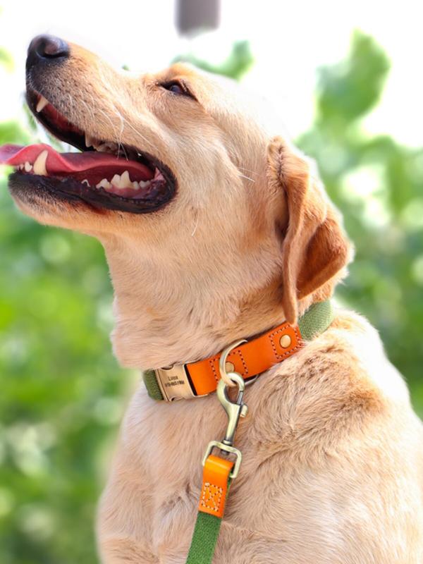 リード ドッグチェーン 中小型犬 用 ラブラドール 対応 手になじむ グリップ 快適 散歩 ペット 用品 日常用 外出用 耐久性