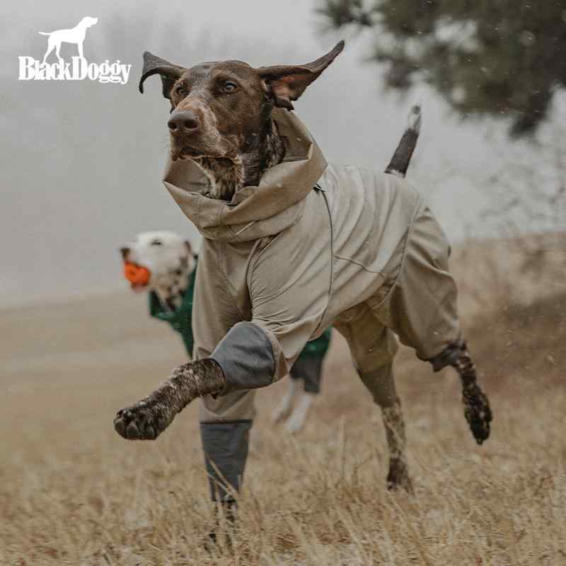 �������� �ɿ� �쥤�󥳡��� �͵ӥ��С� �ڥå� �� ���� �����ȥɥ� �ɱ� ȿ�ͺ� �ե륫�С� ������ ���� �ѵ���